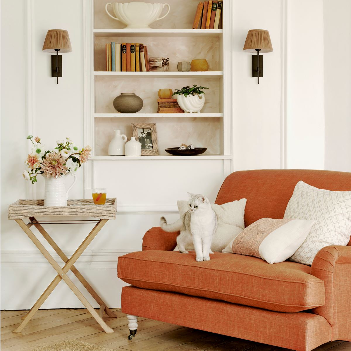 Collections | Neptune