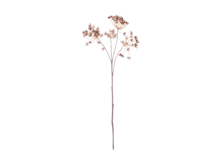 Queen Anne's Lace Stem_Russet_Front