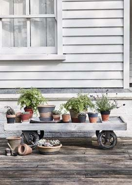 Pots on wheels outside