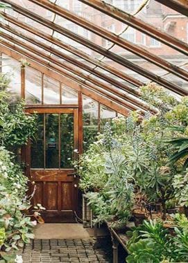 chelsea physic garden via facebook2