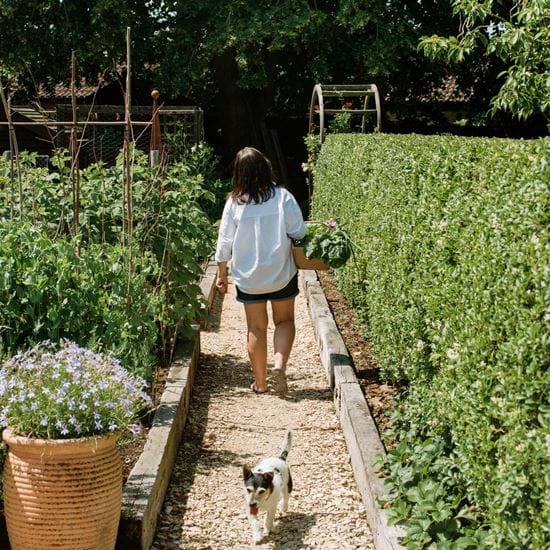 Kirsty's Vegetable Garden-50