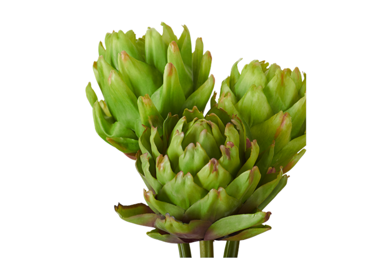 Artichoke Bunch_Detail
