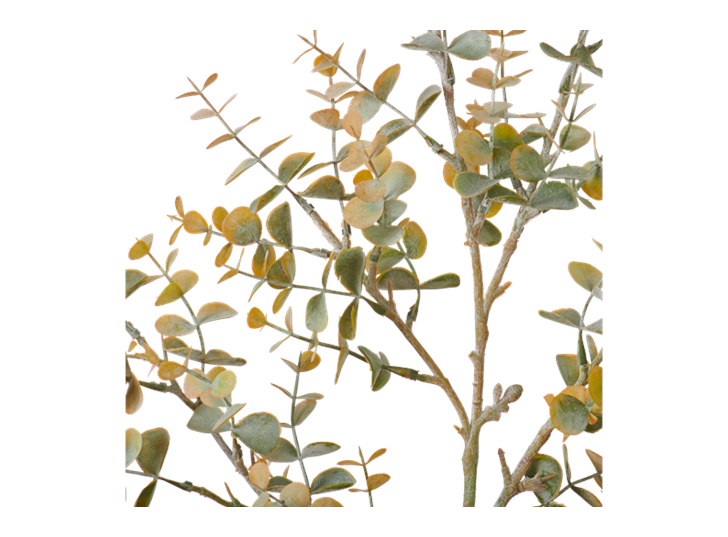 Eucalyptus Mini Spray_Russet_Detail