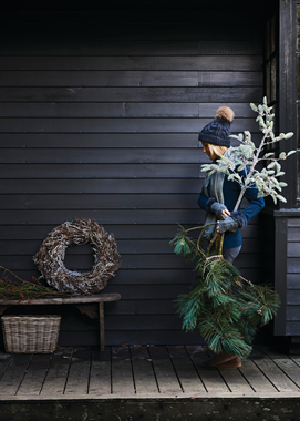 XMAS17_STORIES_FIR_TREE_216