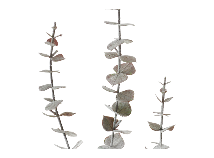 Eucalyptus Greenspray Brown_Detail