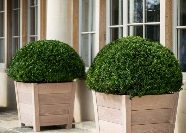 Bibury Oak Planter Medium