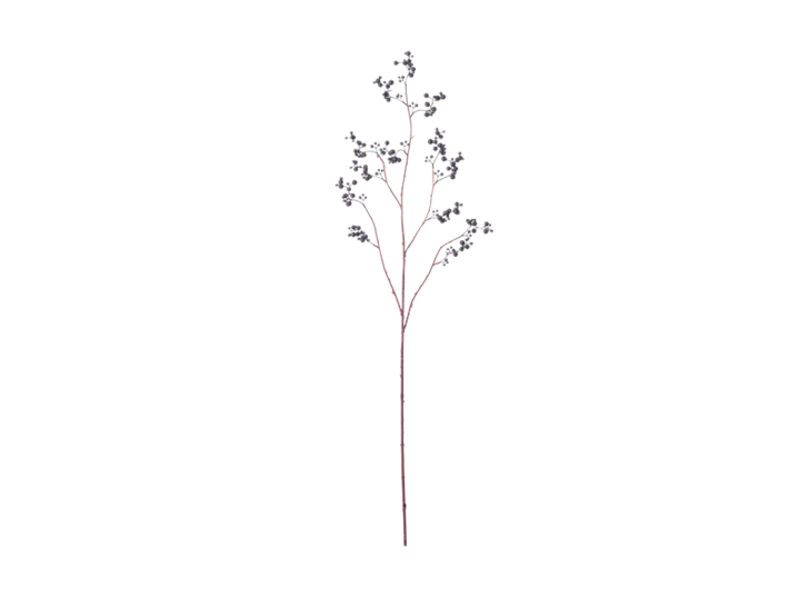 Berry Twig_Damson_Front