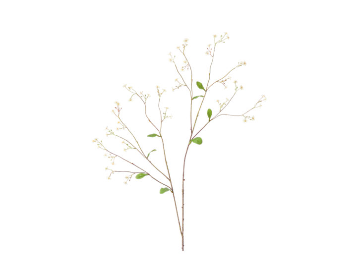 Gypsophila Twig_White_Square