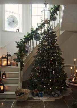 HALLWAY DECORATING_8FT ALBERT TREE