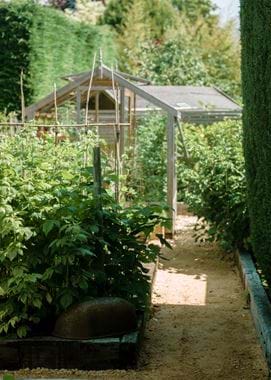 Kirsty's Vegetable Garden-35