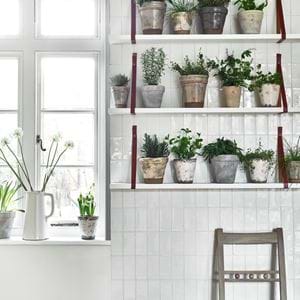 TILED_HERB_WALL_006