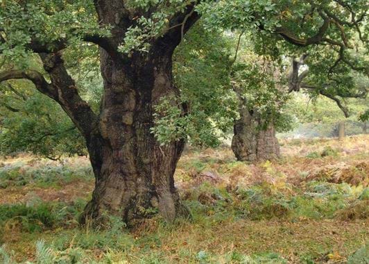 geograph-3203454-by-stefan-czapski