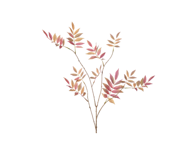 Rowan Spray_Russet_Square