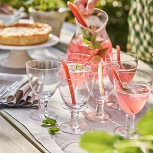 JUBILEE_RHUBARB_FIZZ_017