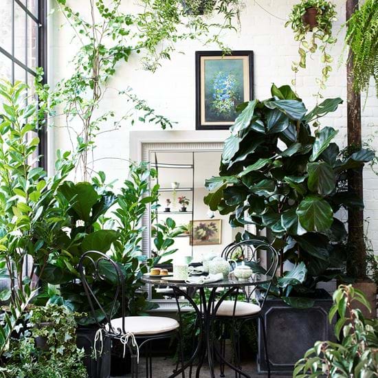 Provence tea for two conservatory