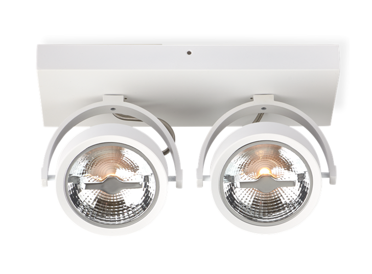 AR111 Surface Mounted Fixture Double White 1