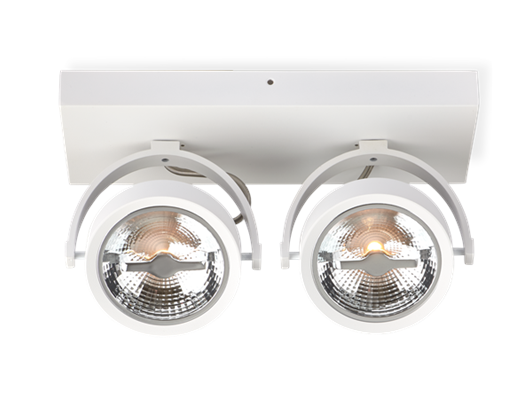 AR111 Surface Mounted Fixture Double White 1