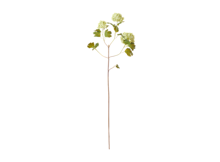 Snowball Stem_Green_Front