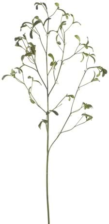 Stems_Mistletoe Twig