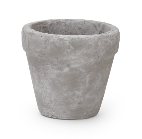 Tarragon Small Pot Pale Cement