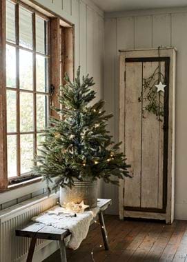 Small Christmas tree in window