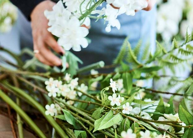 Rowan Blossom Stem - White