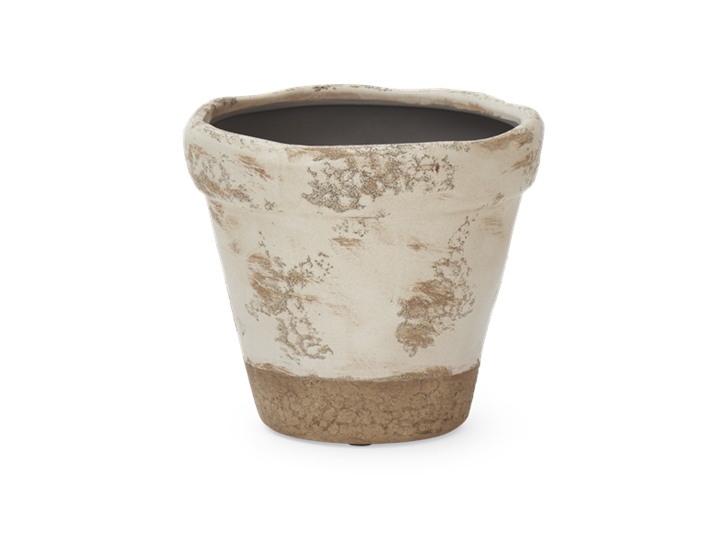 Thyme Pot Large Stone Front