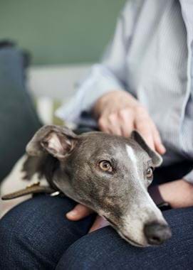 CLAIRE_TAYLOR_KCS_8_130