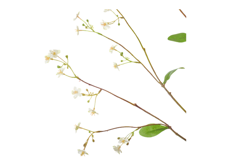 Gypsophila Twig_White_Detail