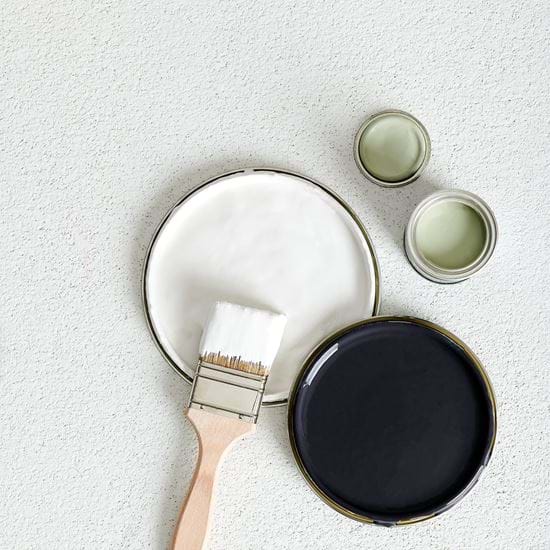 Paint Lids and Brush