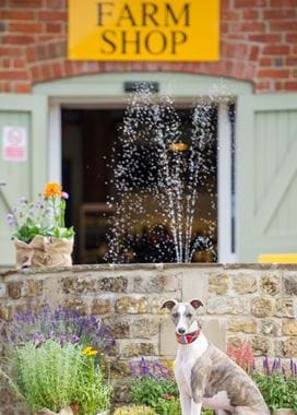 Cowdray-Farm-Shop-Cafe-Square