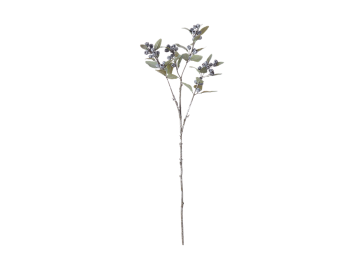 Eucalyptus Berry Spray_Damson_Front