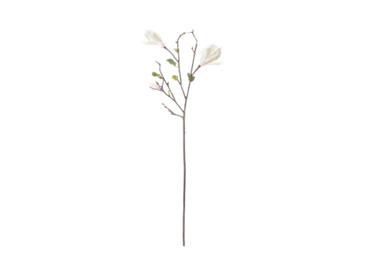 Magnolia Branch_White_Front