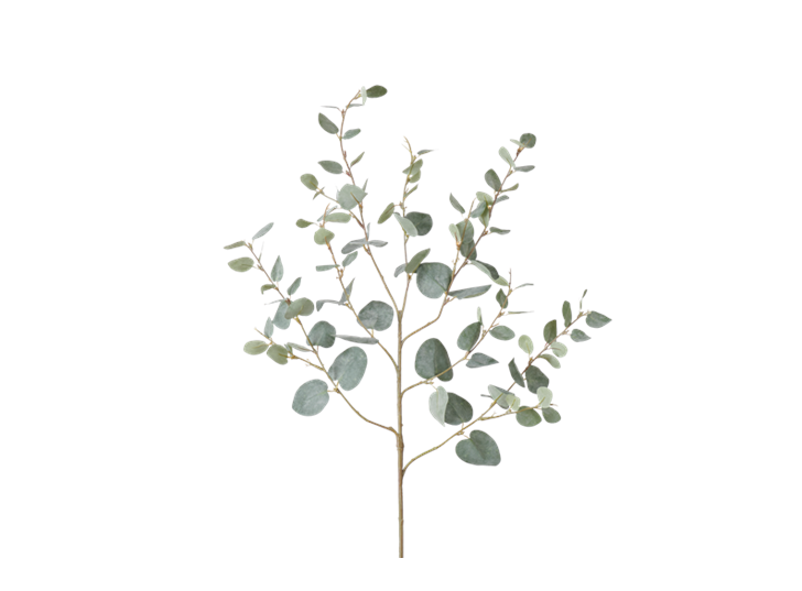 Eucalyptus Greenspray Green_Square