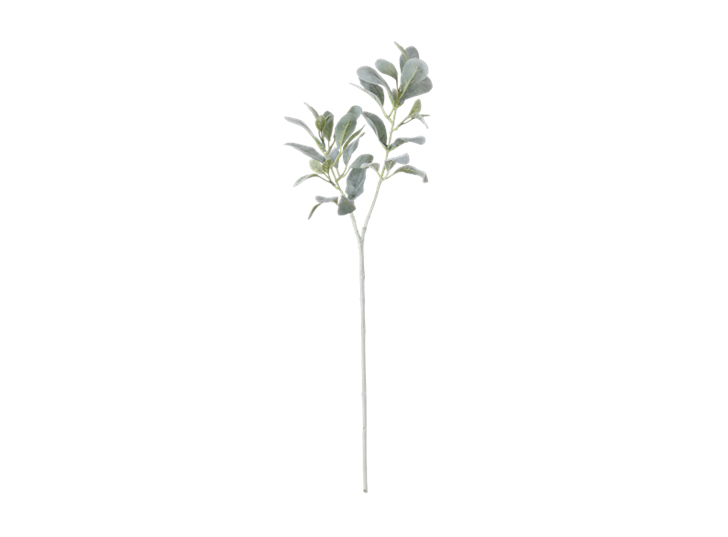 Sage Leaf Spray Green_Front