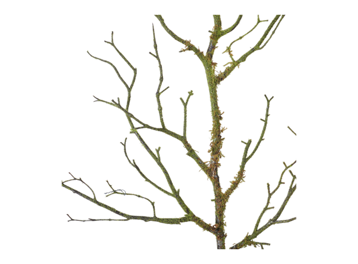 Twig Moss Brown and Green_Detail