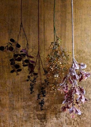 Eucalyptus Stem - Burgundy