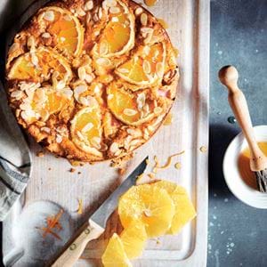 Stories 13__Blood orange and rhubarb cake