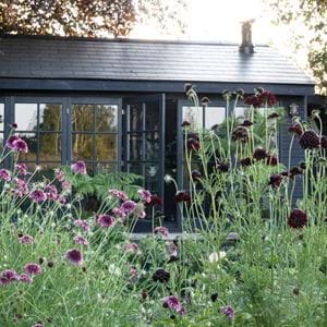 Clare Nolan - A shed of one's own