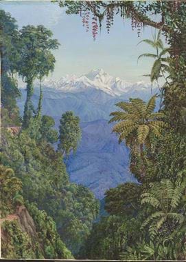 270. Distant View of Kinchinjunga from Darjeeling.