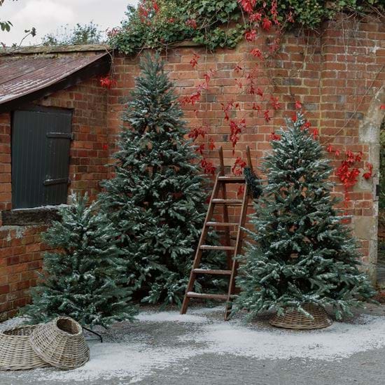 Albert Tree Collection_4,6,8ft