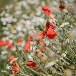 Jessica Alken-Theasby, Pastow case study-16