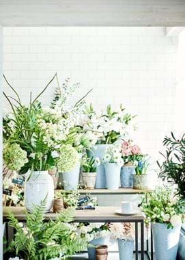 Spring Flower Shop Front